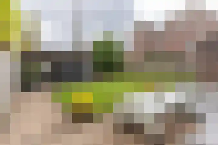 Kievitmeen 100 Harderwijk thumbnail 26