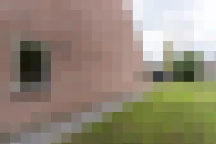 Kievitmeen 100 Harderwijk thumbnail 27