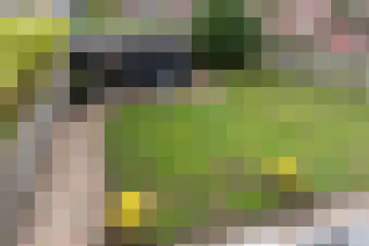 Kievitmeen 100 Harderwijk thumbnail 28