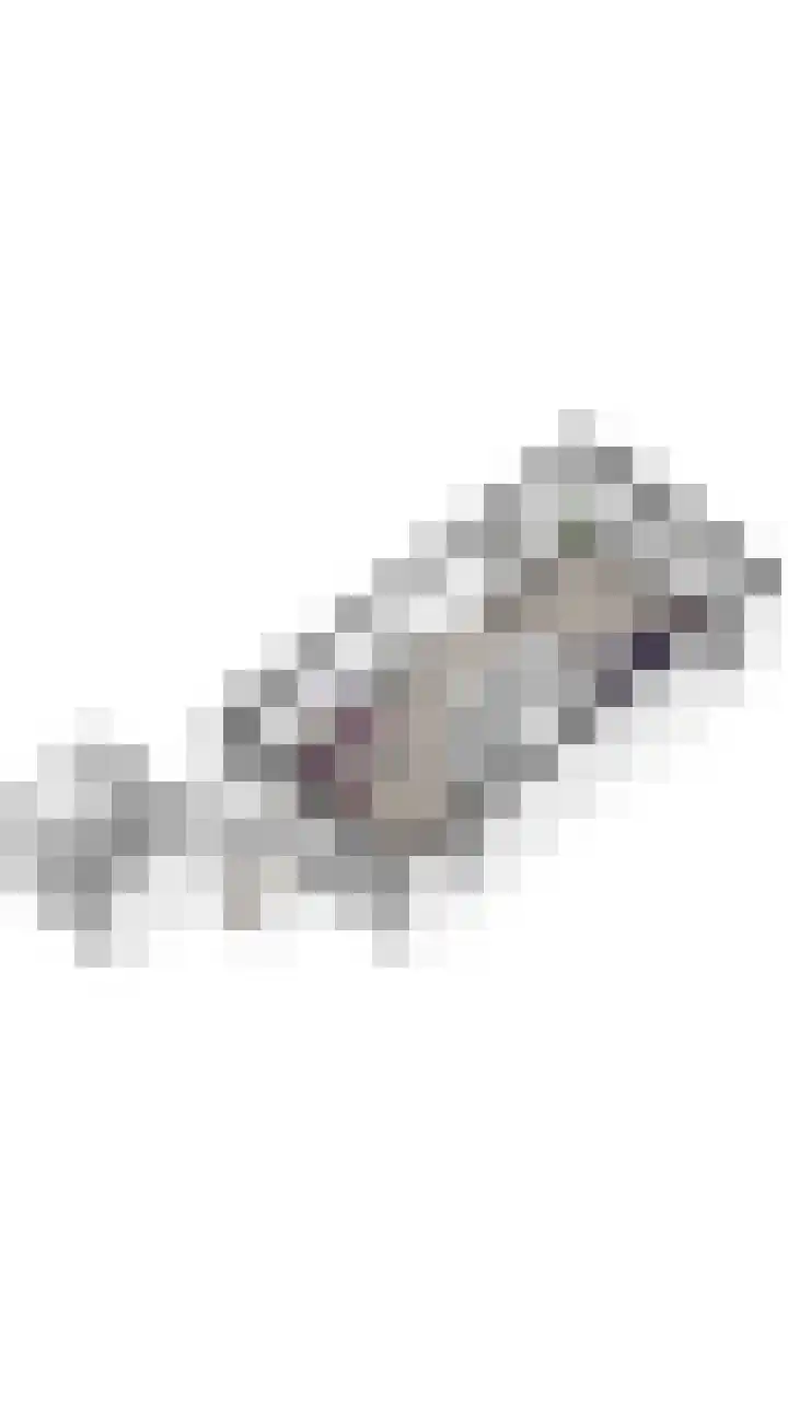 Kievitmeen 100 Harderwijk thumbnail 36