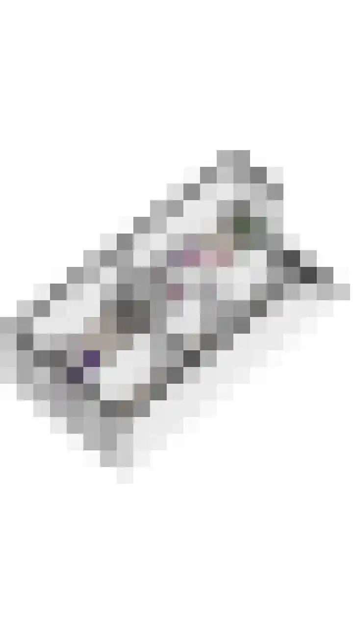 Kievitmeen 100 Harderwijk thumbnail 37