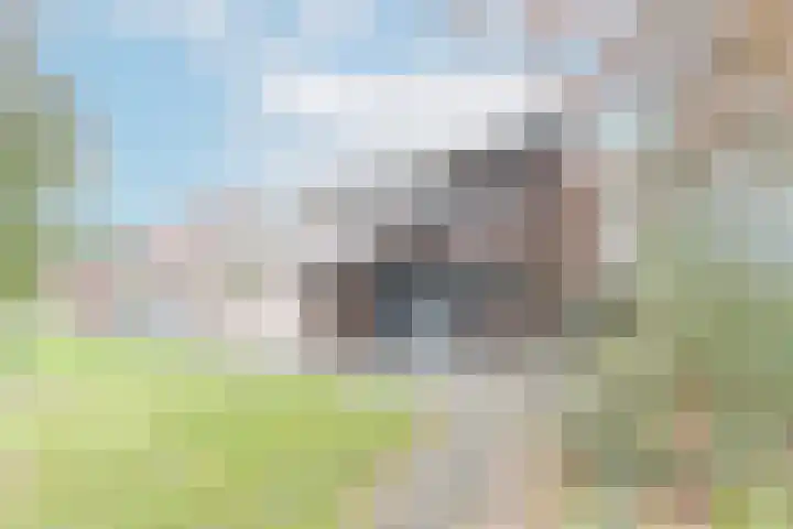 Kievitmeen 100 Harderwijk thumbnail 4