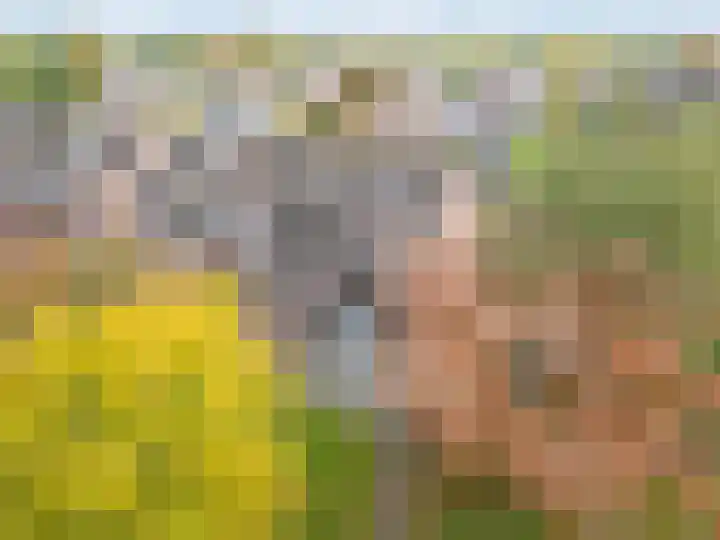 Kievitmeen 100 Harderwijk thumbnail 5