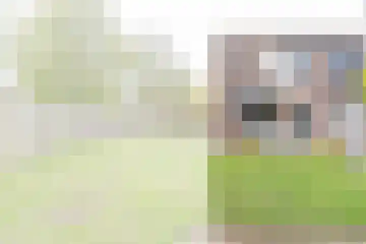Kievitmeen 100 Harderwijk thumbnail 6