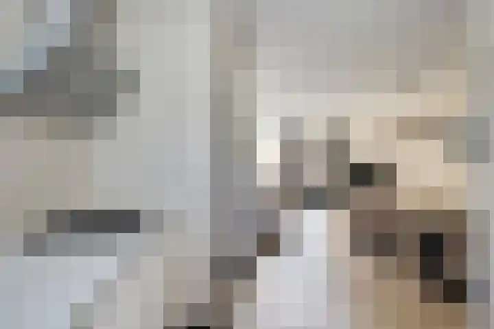 Kievitmeen 132 Harderwijk thumbnail 13