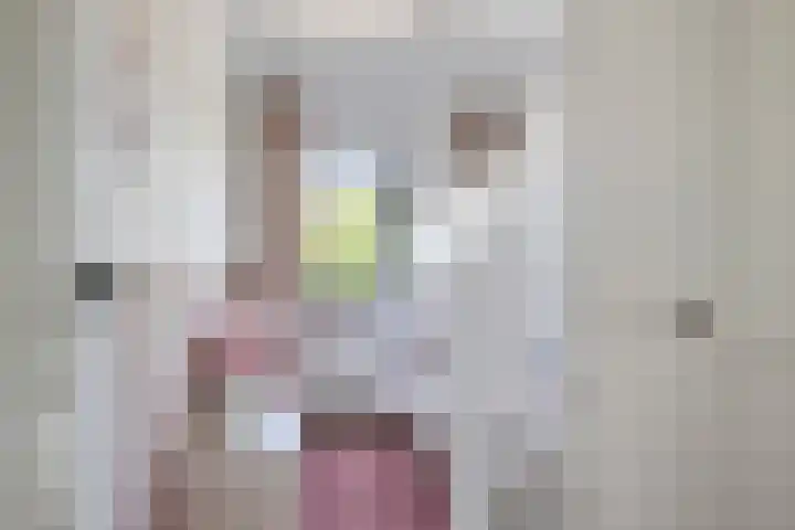 Kievitmeen 132 Harderwijk thumbnail 19