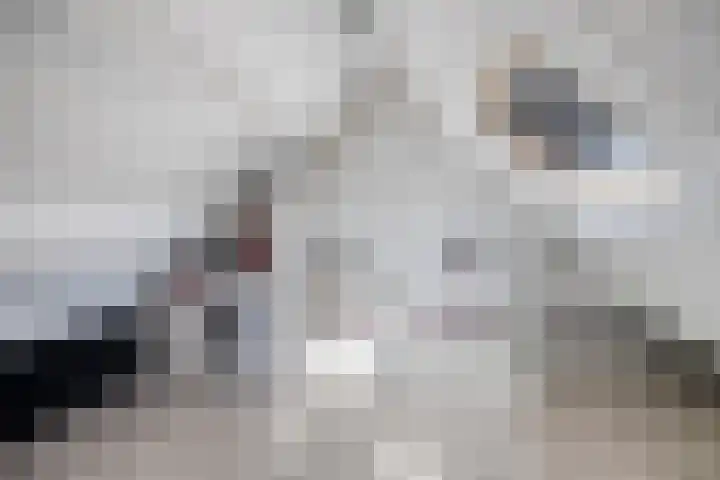 Kievitmeen 132 Harderwijk thumbnail 23
