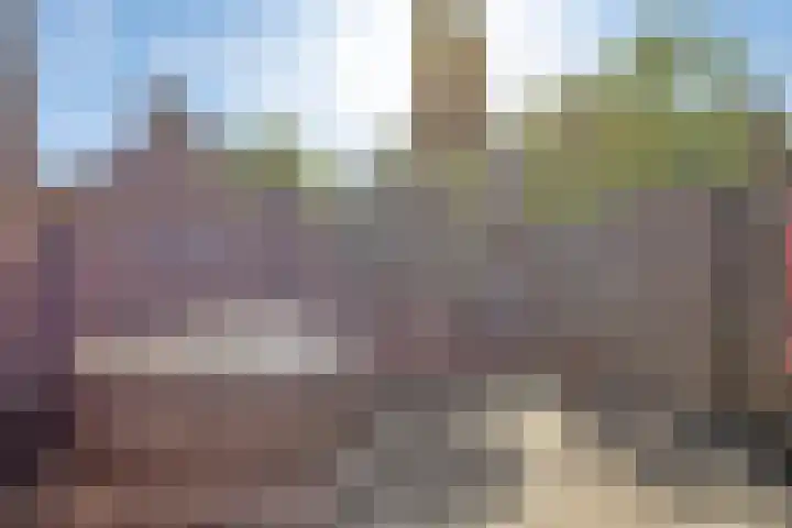 Kievitmeen 132 Harderwijk thumbnail 28