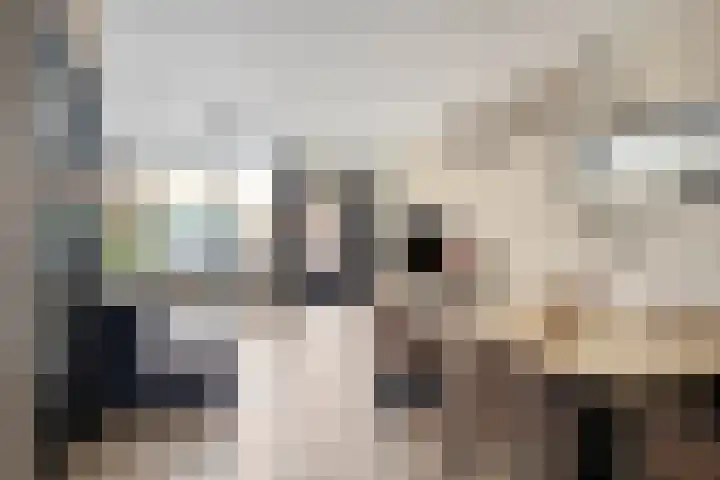 Kievitmeen 132 Harderwijk thumbnail 6