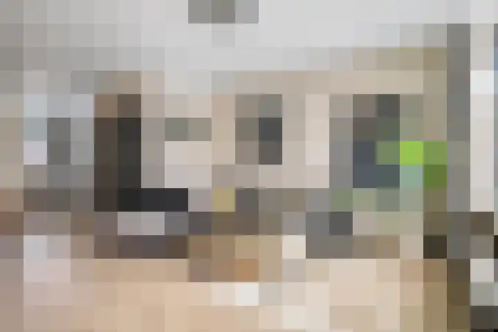 Kievitmeen 132 Harderwijk thumbnail 8