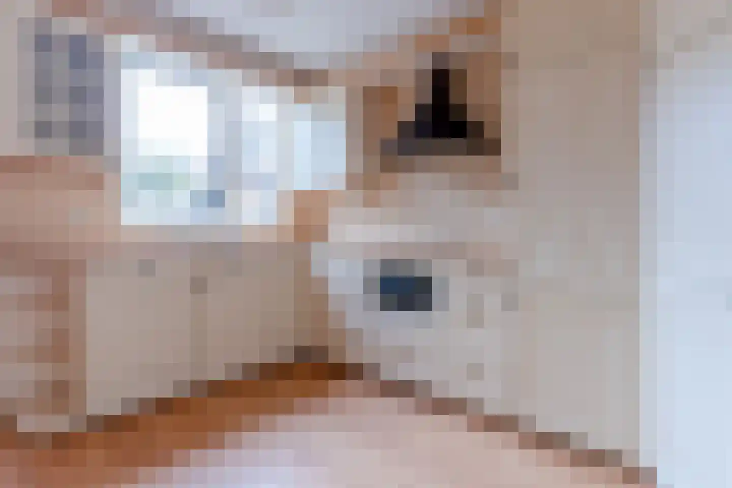 Kievitmeen 8 Harderwijk thumbnail 13