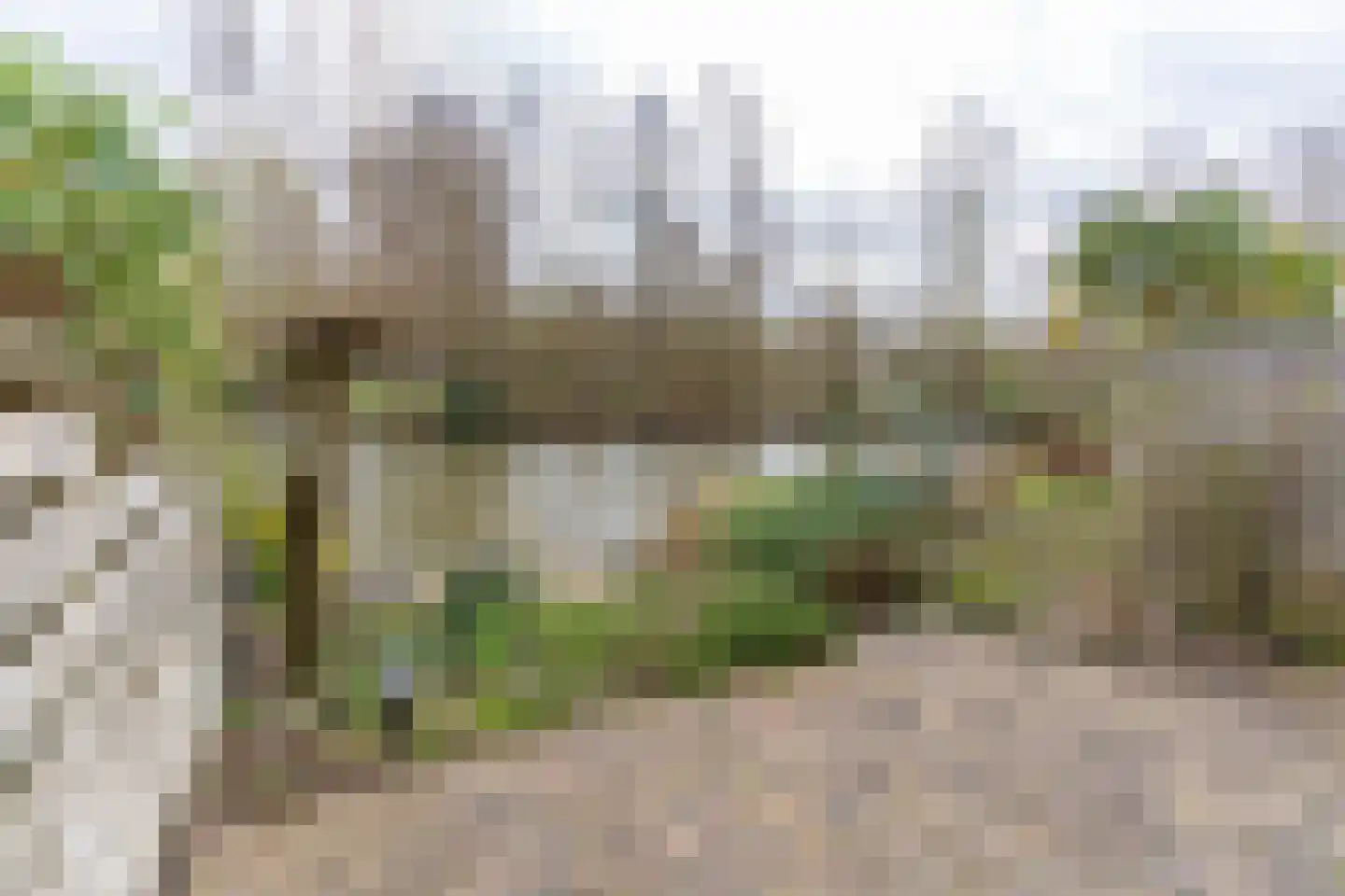 Kievitmeen 8 Harderwijk thumbnail 26
