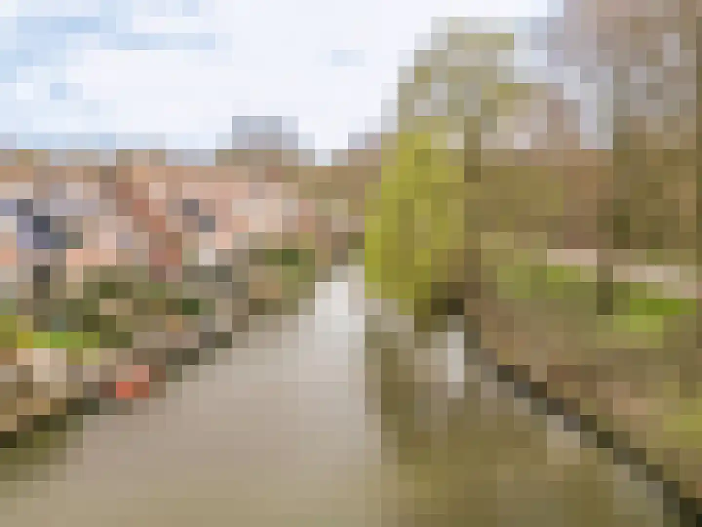 Kievitmeen 8 Harderwijk thumbnail 32