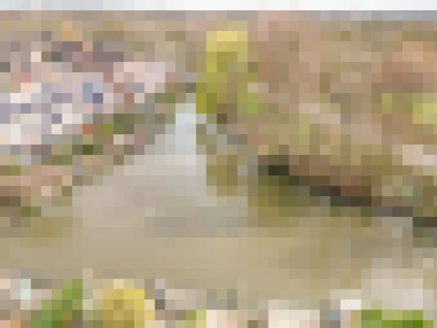 Kievitmeen 8 Harderwijk thumbnail 5