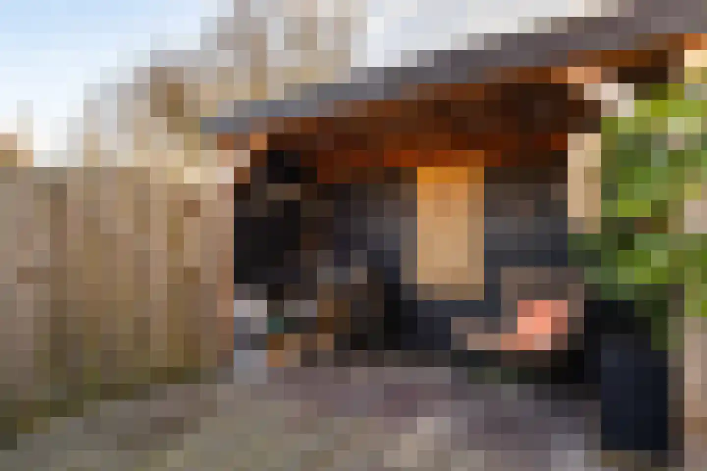 Kievitmeen 90 Harderwijk thumbnail 35
