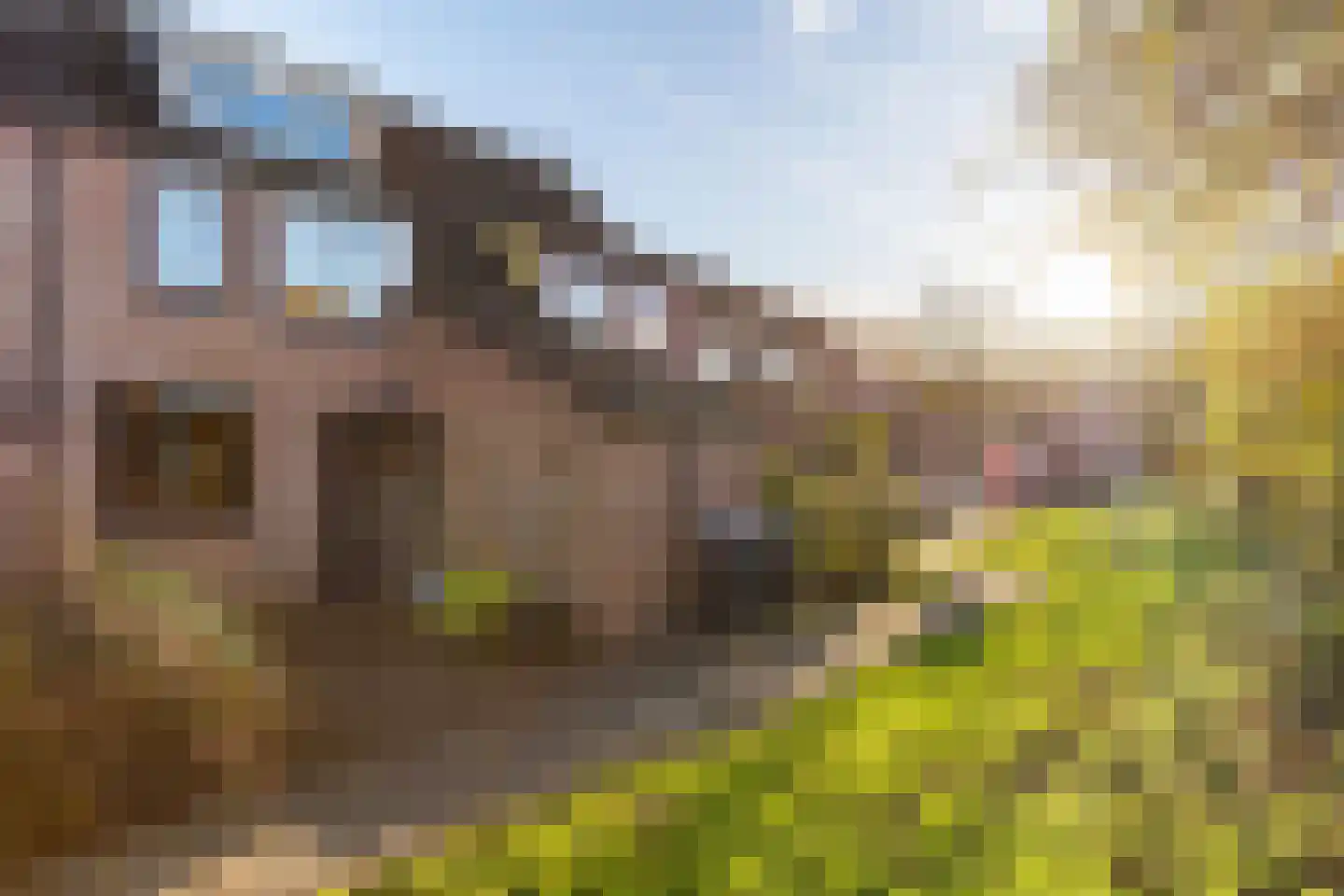 Kievitmeen 90 Harderwijk thumbnail 8