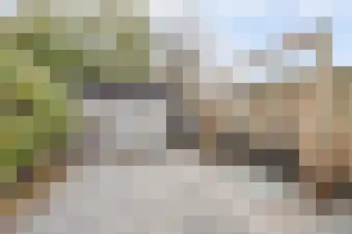 Kievitmeen 94 Harderwijk thumbnail 31