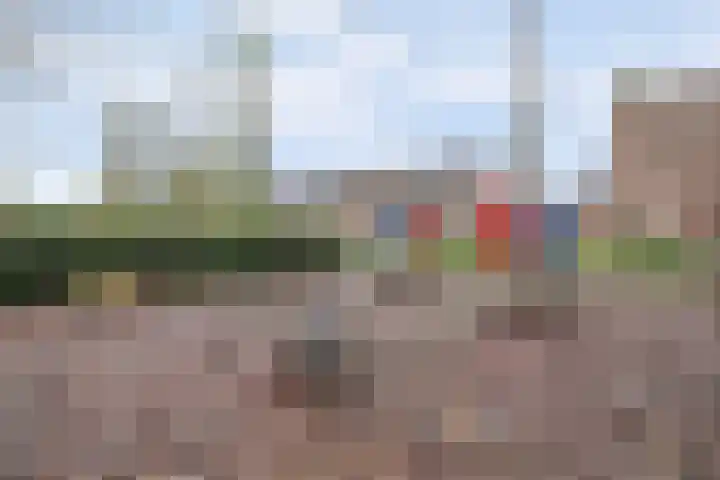 Kievitmeen 94 Harderwijk thumbnail 34