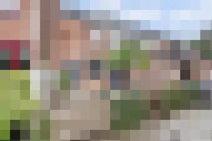Kievitmeen 94 Harderwijk thumbnail 36