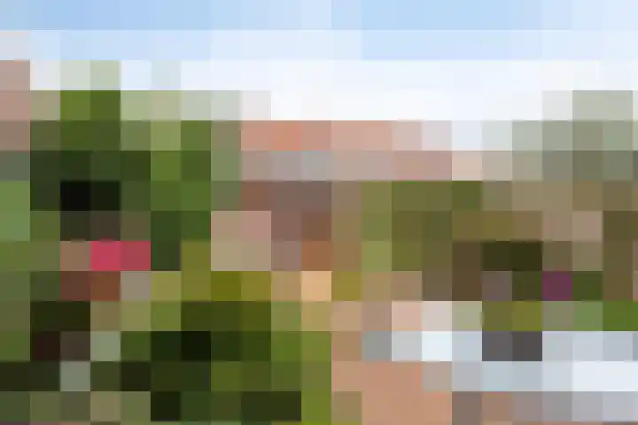 Kievitplantsoen 19 Volendam thumbnail 25