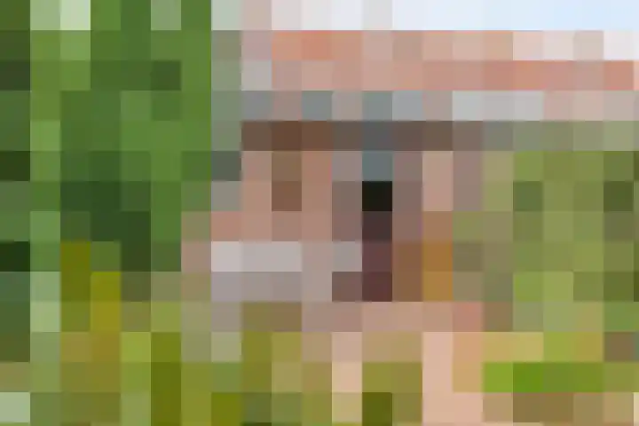 Kievitplantsoen 19 Volendam thumbnail 26