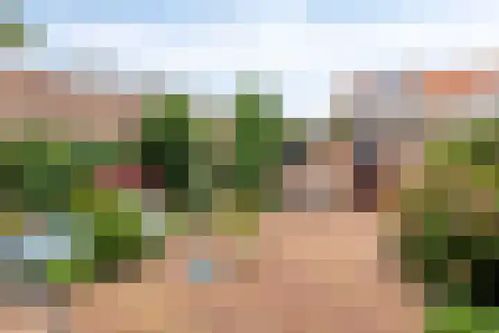 Kievitplantsoen 19 Volendam thumbnail 4
