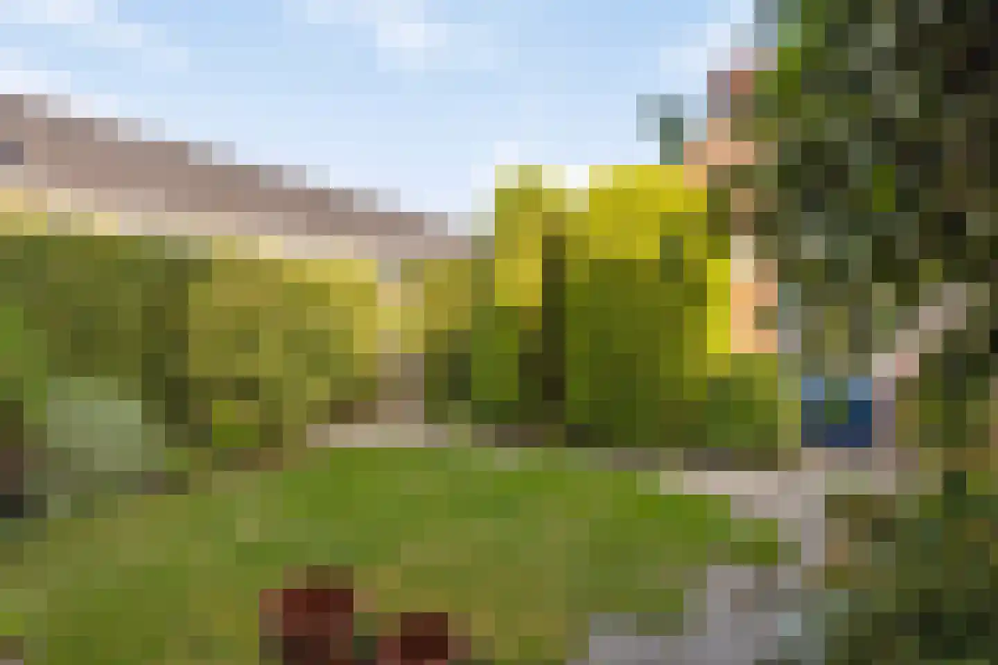 Kievitplantsoen 9 Rhoon thumbnail 39