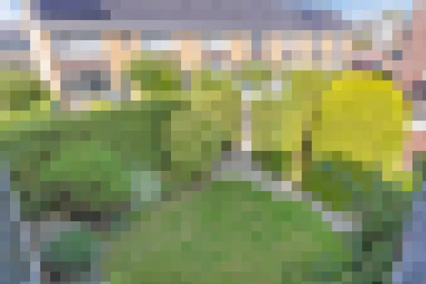 Kievitplantsoen 9 Rhoon thumbnail 4