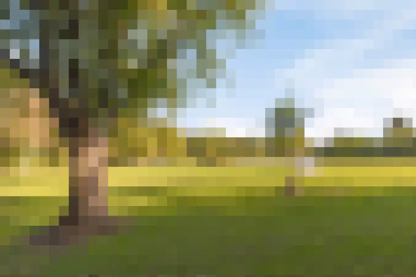 Kievitplantsoen 9 Rhoon thumbnail 48