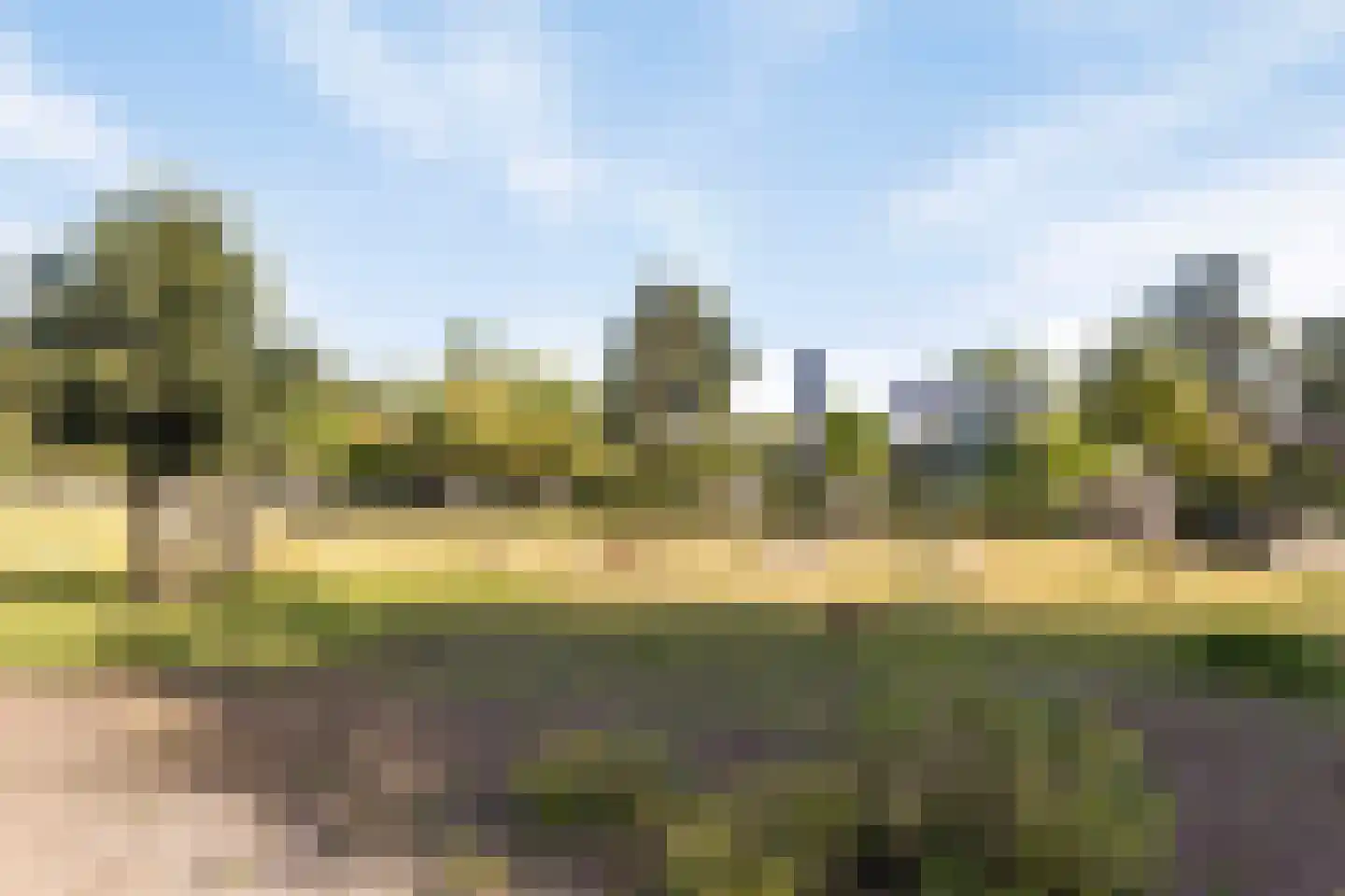 Kievitplantsoen 9 Rhoon thumbnail 49