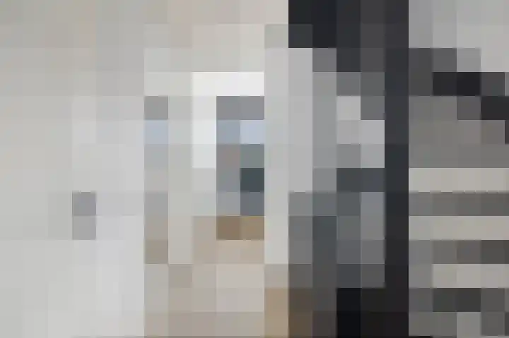 Kievitsakker 12 Bathmen thumbnail 12