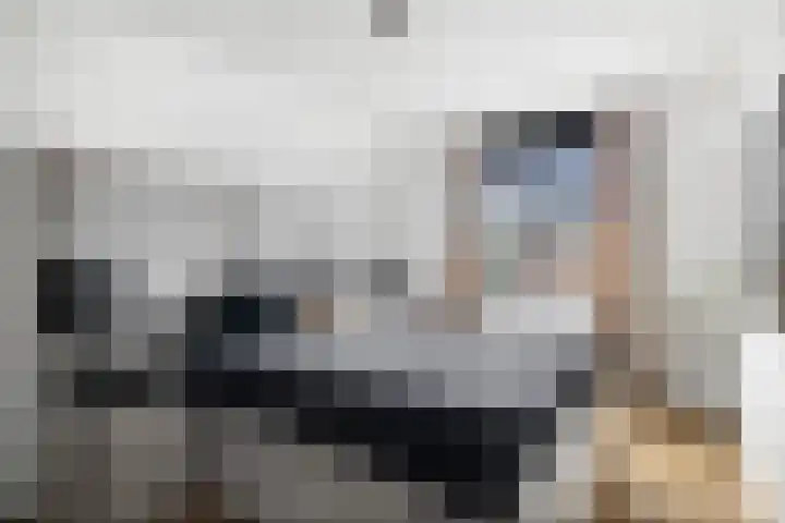 Kievitsakker 12 Bathmen thumbnail 13