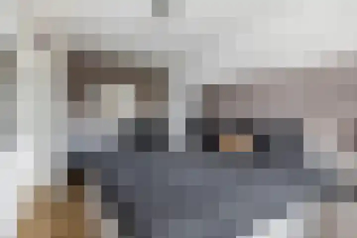 Kievitsakker 12 Bathmen thumbnail 14