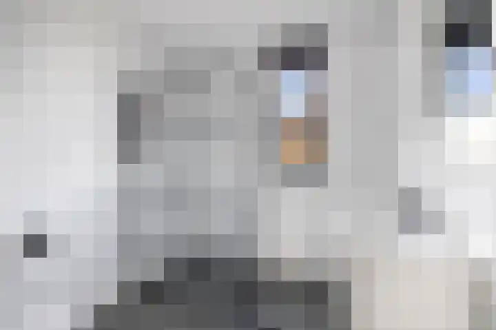 Kievitsakker 12 Bathmen thumbnail 20