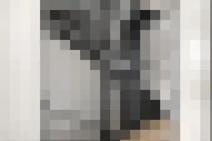 Kievitsakker 12 Bathmen thumbnail 21