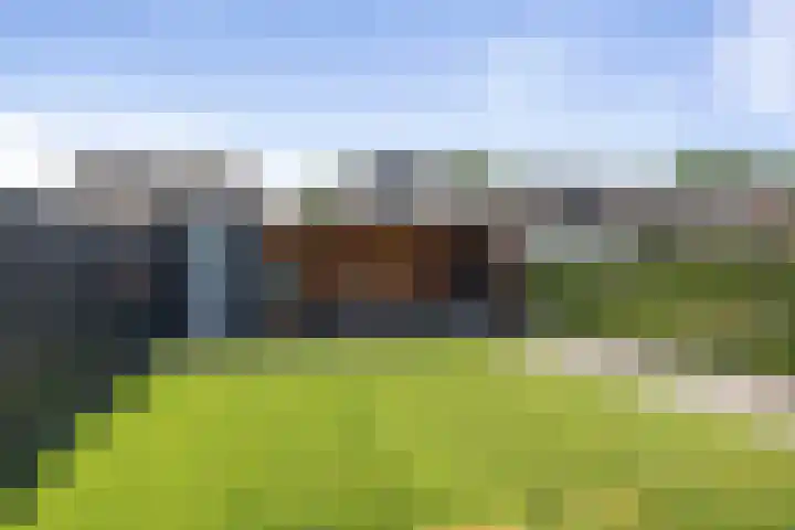 Kievitsakker 12 Bathmen thumbnail 25