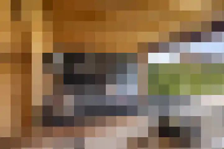 Kievitsakker 12 Bathmen thumbnail 26
