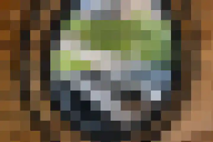 Kievitsakker 12 Bathmen thumbnail 28