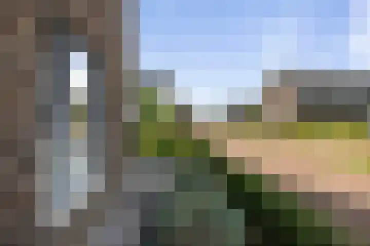 Kievitsakker 12 Bathmen thumbnail 33