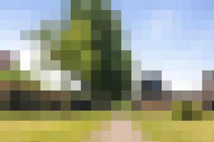 Kievitsakker 12 Bathmen thumbnail 34