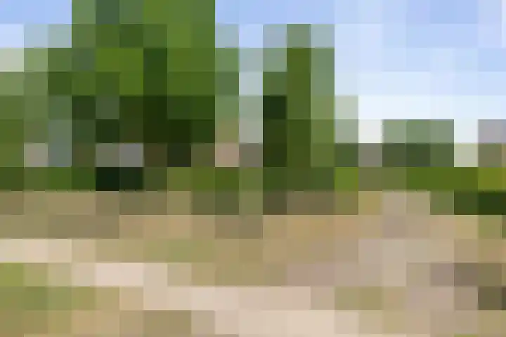 Kievitsakker 12 Bathmen thumbnail 38