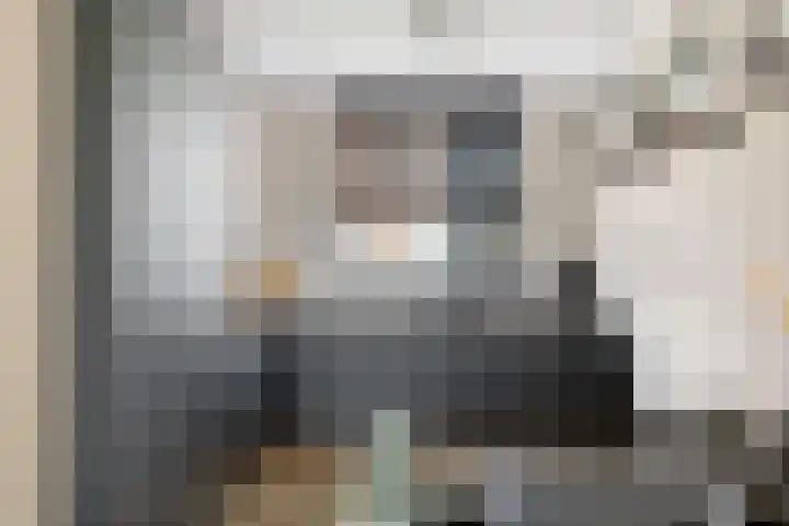 Kievitsakker 12 Bathmen thumbnail 6
