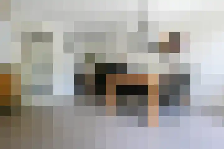 Kievitsbloem 12 Breukelen thumbnail 11