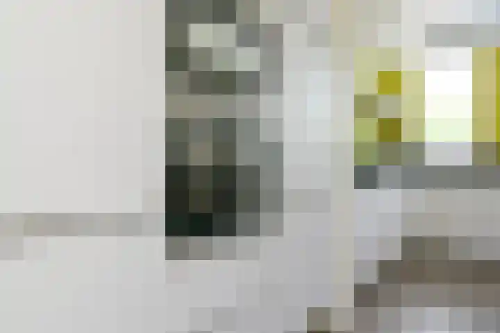 Kievitsbloem 12 Breukelen thumbnail 14