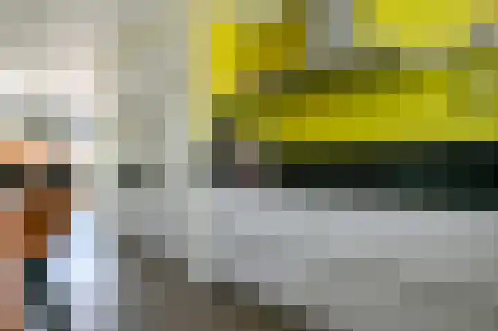 Kievitsbloem 12 Breukelen thumbnail 15