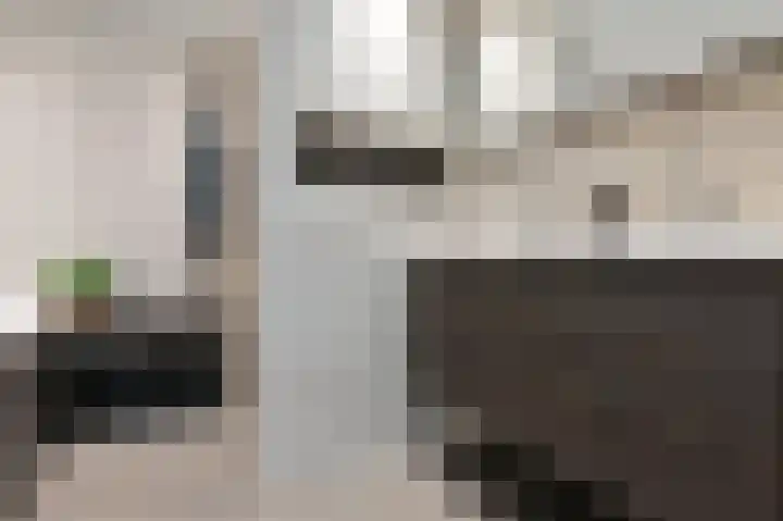 Kievitsbloem 12 Breukelen thumbnail 20