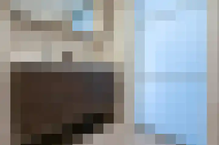 Kievitsbloem 12 Breukelen thumbnail 21