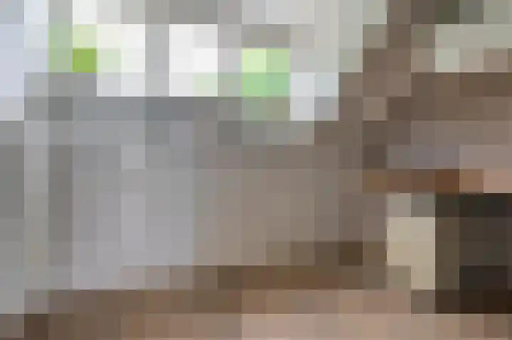 Kievitsbloem 12 Breukelen thumbnail 27