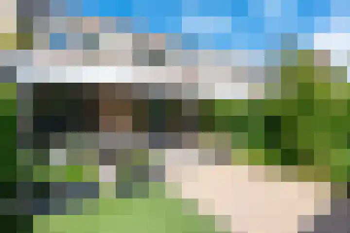 Kievitsbloem 12 Breukelen thumbnail 39