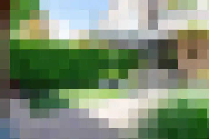 Kievitsbloem 12 Breukelen thumbnail 40